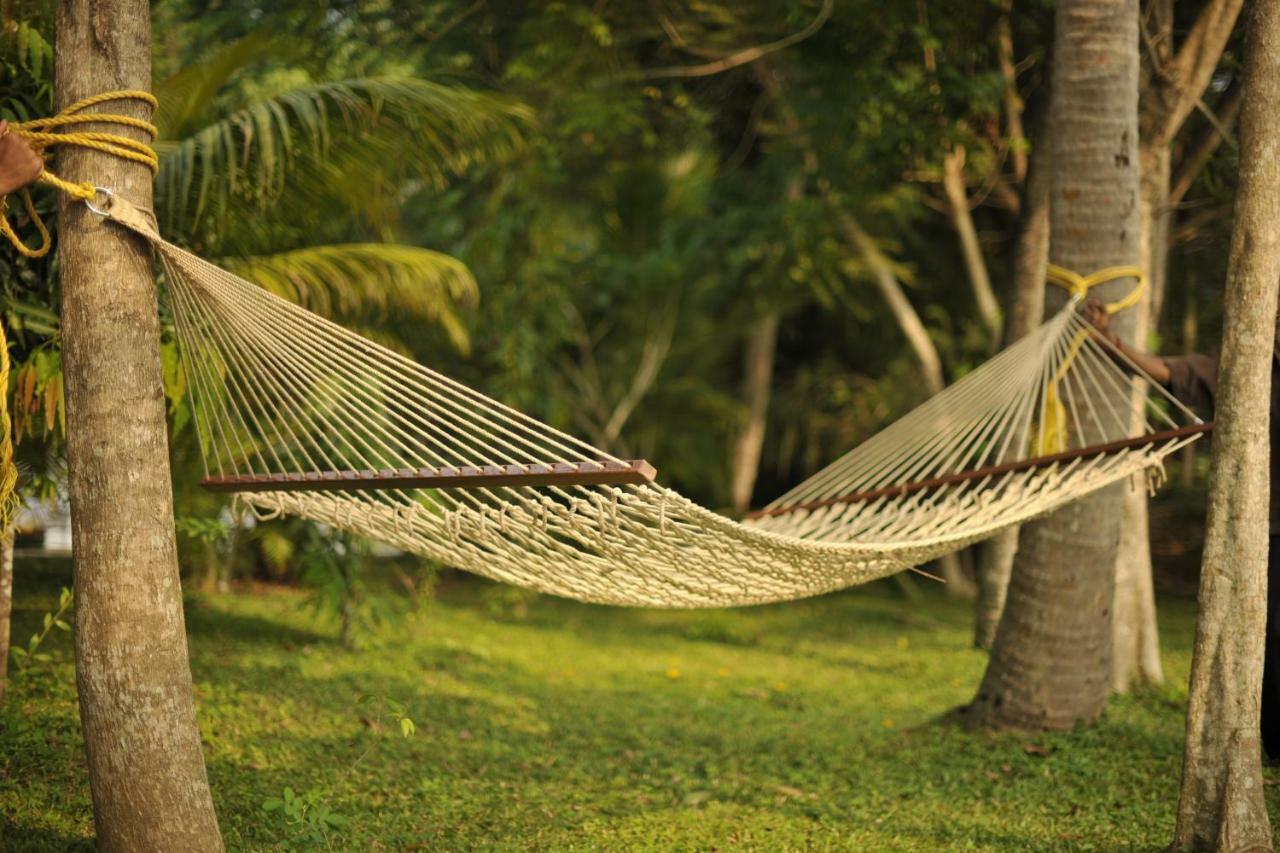 Hotel Club Mahindra Ashtamudi Nīndakara Exteriér fotografie